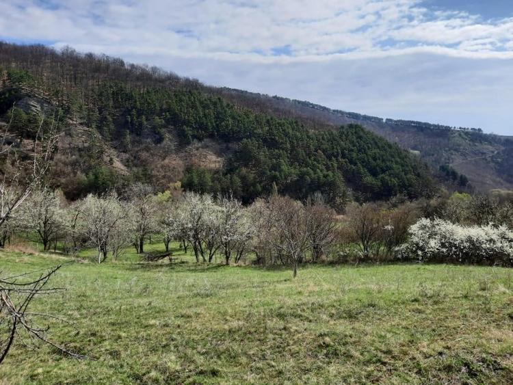 TEREN INTRAVILAN 13700 MP, INURI, VINTU DE JOS - 3