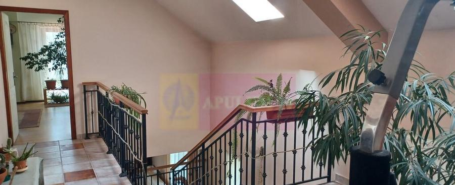 Joi?a, vila 5 camere 187 mp utili + garaj, terasa, piv... - 4