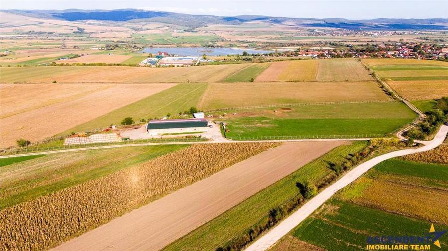 FILM! 18.000 mp,extravilan,agricol+constructii, recomandat:ferma,investitii agricole,Rotbav,Brasov - 10