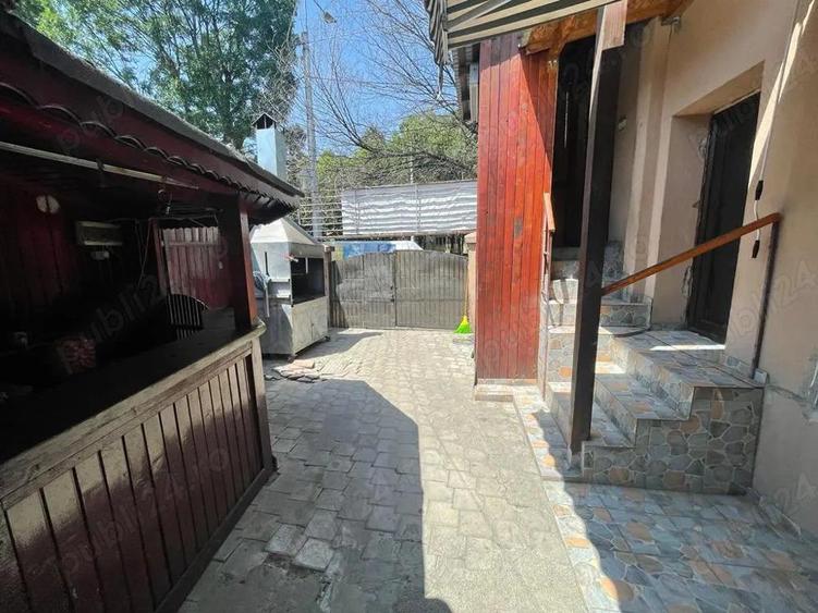 Casa individuala Nitu Vasile Brancoveanu D+P+1+M - 3