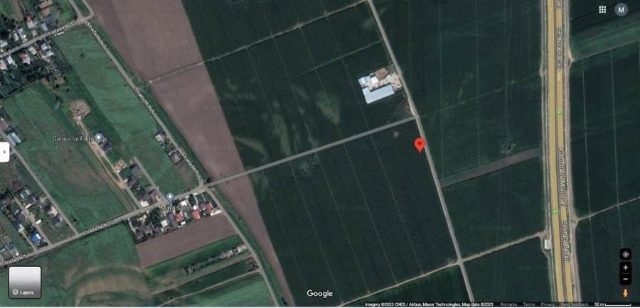 Teren extravilan, Letea Veche - 2