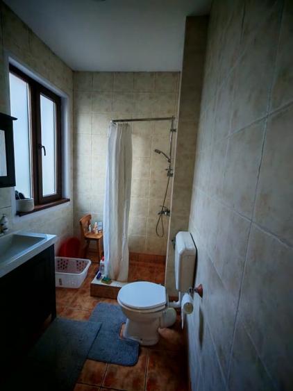 Inchiriere vila individuala in zona Eroilor-Cotroceni - 5