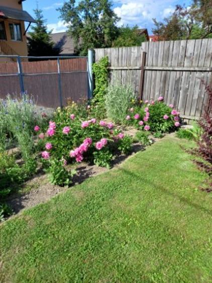 Casa zona ultracentrală, vis-a-vis PENNY Săcele, 2000 mp - 9