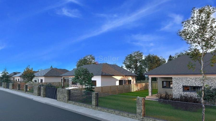 Structura Generoasa Peisagistica Realizata - 20