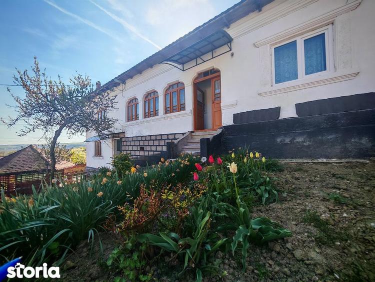 2 Case + teren 3233 mp Darmanesti Arges - 17