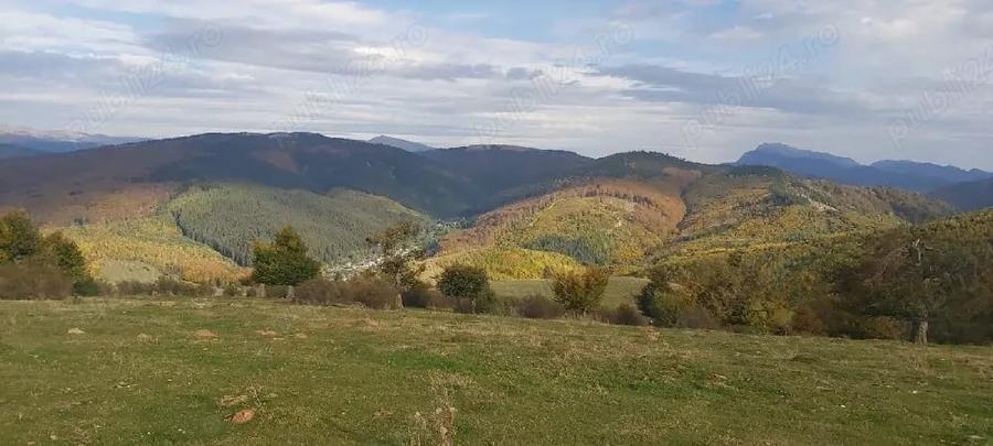 Teren în Central