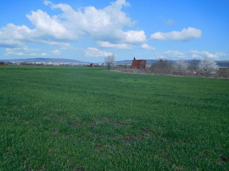 Teren Construcții intravilan de 868 mp, în Sopor