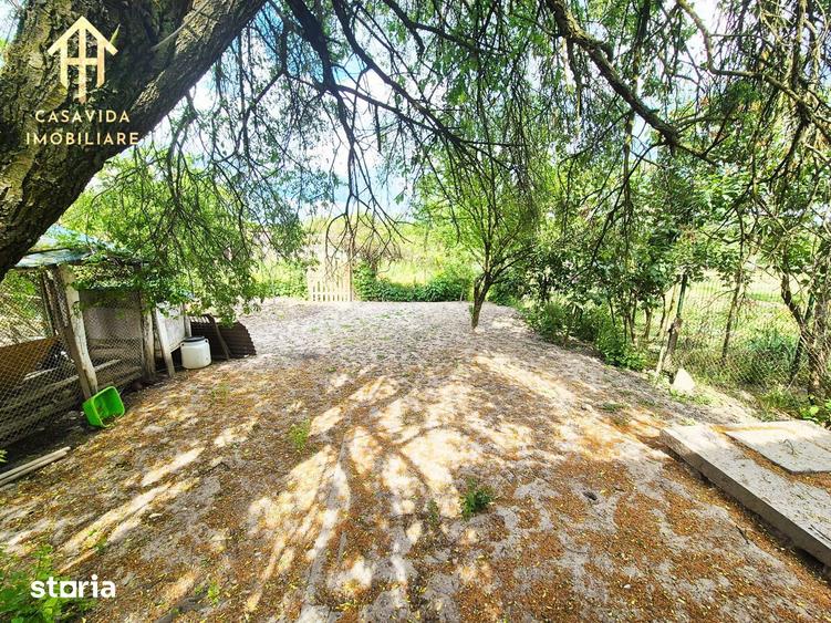 Casa de Vanzare in Balint, Jud. Timis - 10