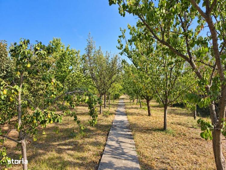 Casă cu 3 camere decomandat în Mândruloc