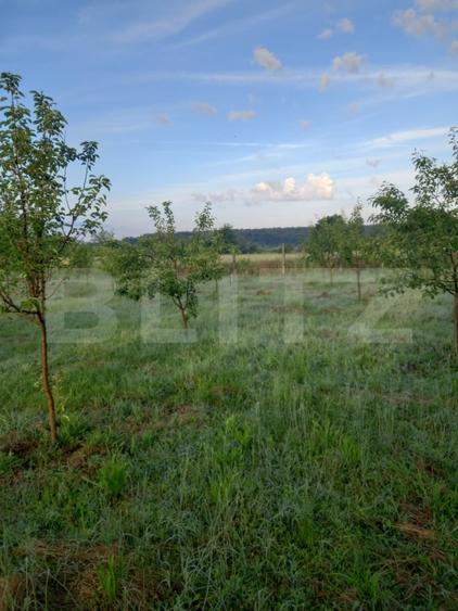 Teren Construcții intravilan de 4447 mp, în Exterior Est
