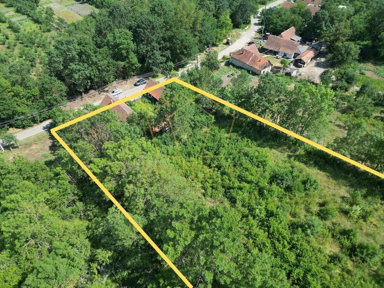 Teren Construcții intravilan de 3727 mp, în Cralovăț
