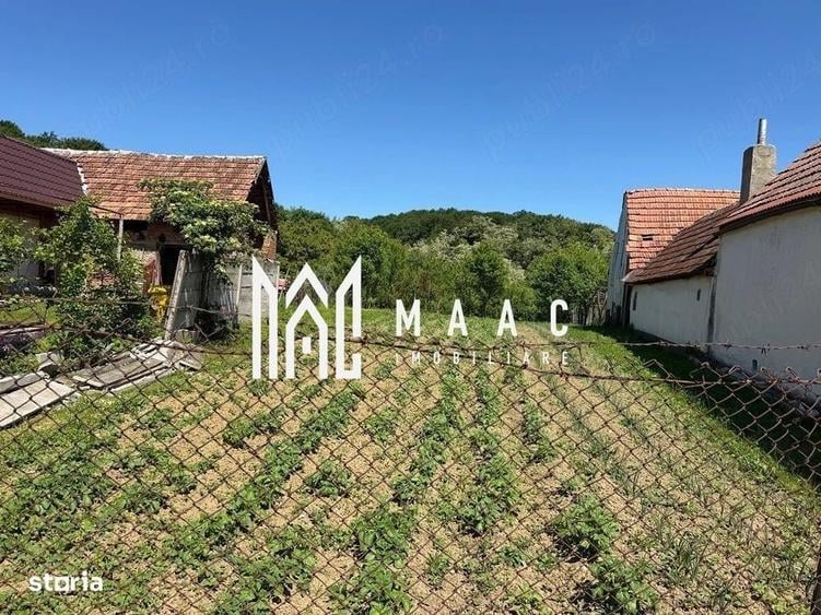 Spațiu comercial, în Bradu