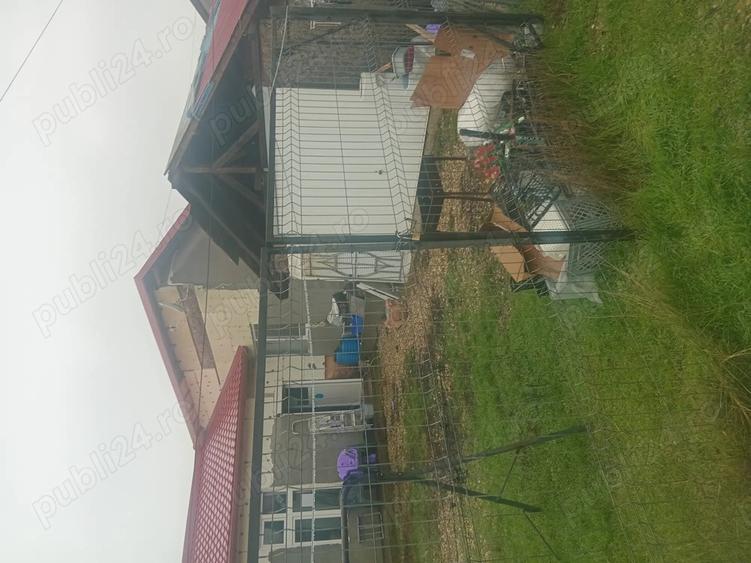 Casa dormitoare aduna?ii copaceni sat varlaam 17km de bucure?ti. - 1