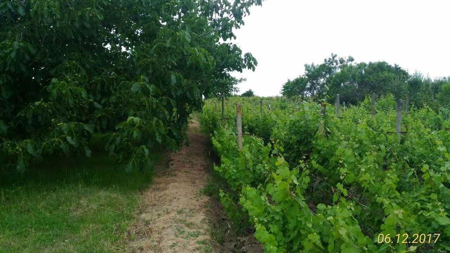 casa Husi zona Corni - 1