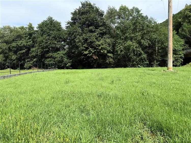 Comisan0%Teren intravilan Somesu Rece Lunca - 5