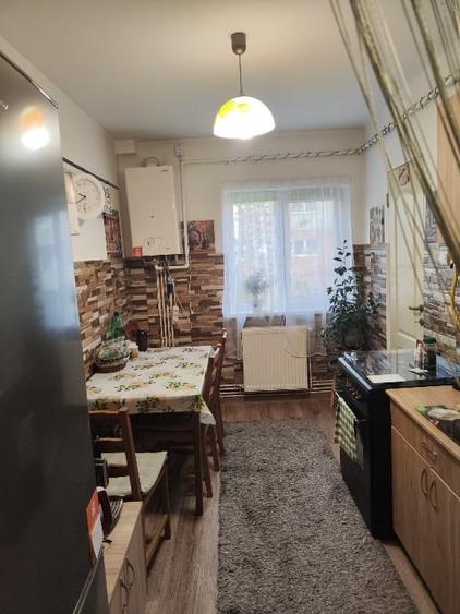 Apartament pentru investitori - 2