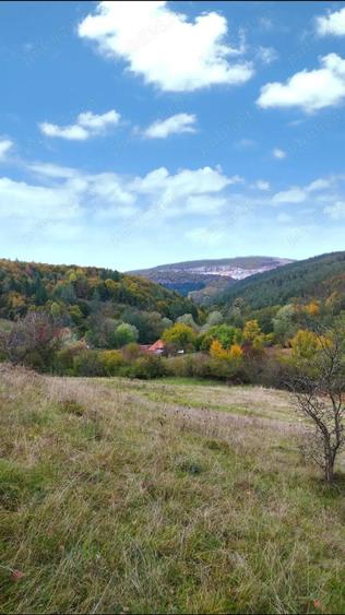 Casa+ teren de vanzare - 2