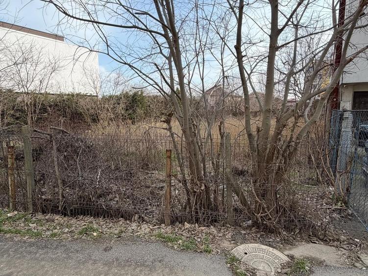 Teren intravilan Palazu , zona rezidentiala - 3