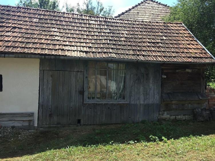 Vand casa la tara - 4