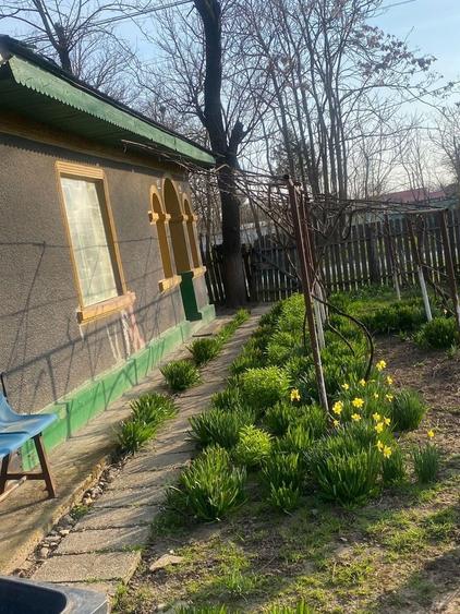 De vanzare casa batraneasca locuibila compusa din 3 camere si dependinte,fantana cu apa potabila,2 sobe teracota,curent electric,pivnita,curte 2000 mp - 1