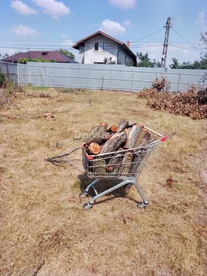 Teren intravilan - 939 mp, Tagsoru Nou