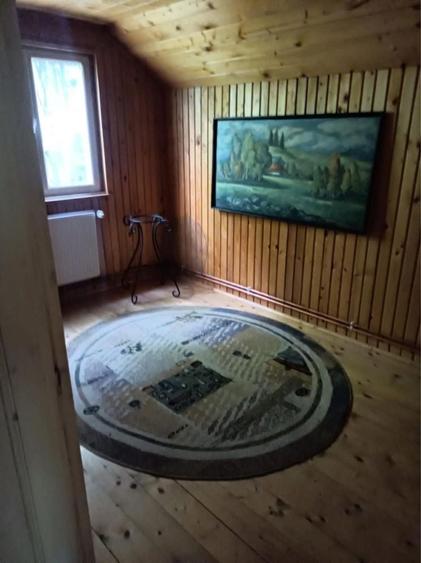 De vanzare Casa de vacanta Harghita Bai - 3
