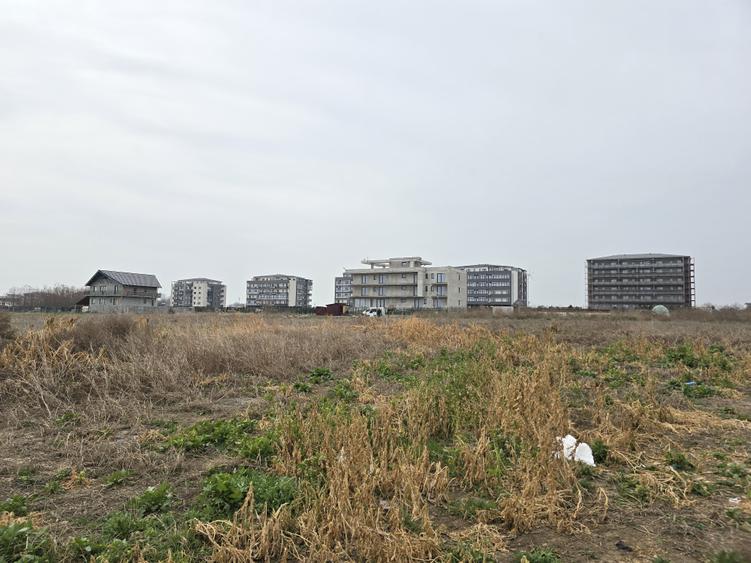 Vanzari terenuri in Agigea zona Golful Pescarului - 3