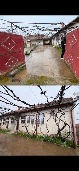 Casă + teren 2319 mp în centrul satului Sacoșu Mare, aproape de Lugoj - 1