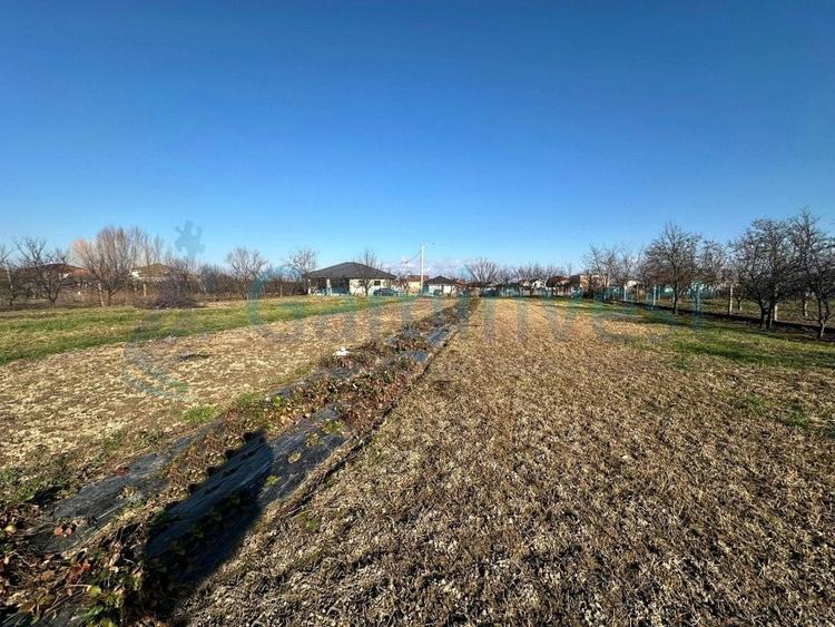 Parcele de teren intravilan de vanzare, Sanmartin, Bihor - 3