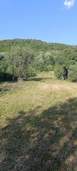 Vand casa, PROPRIETAR!!! - 5