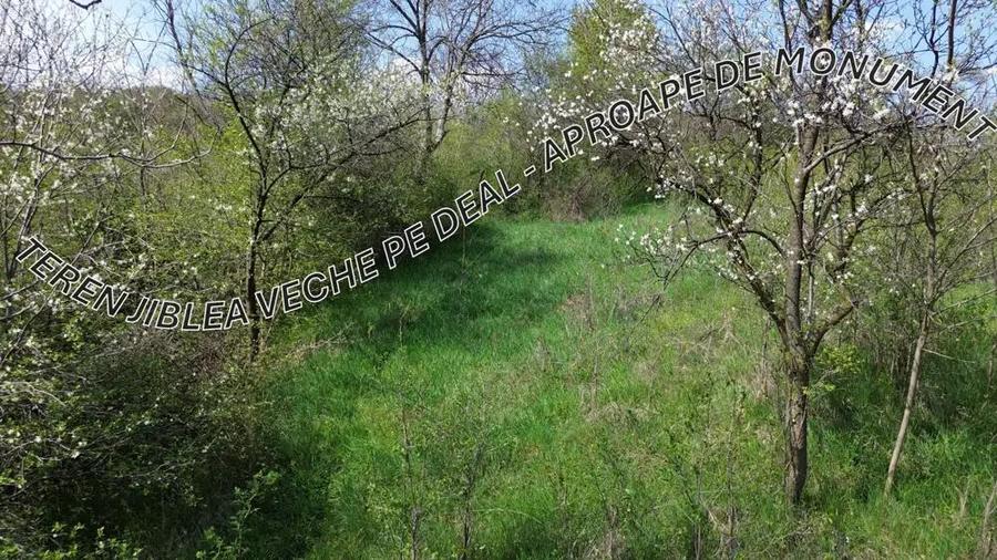 Teren Jiblea Veche - 2