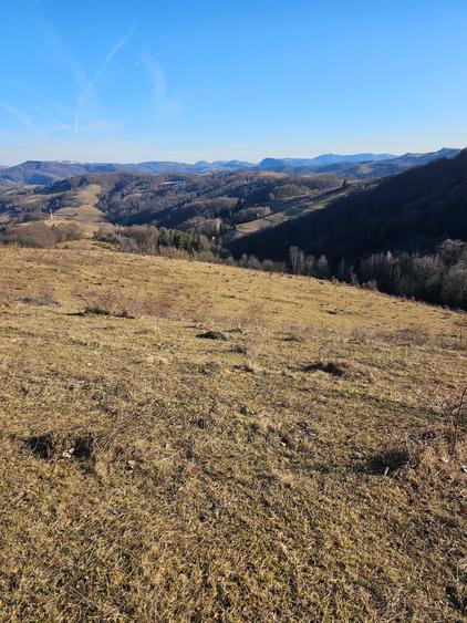 Vand teren 12300mp - 1