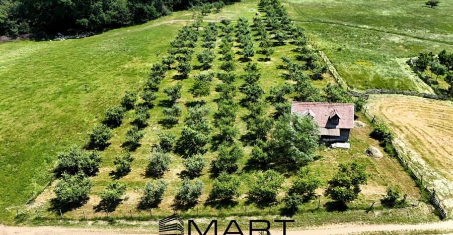 Teren extravilan 5000mp zona Cisnadie - 2