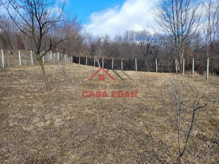 Teren intravilan in Cornu--2991mp--29e - 7