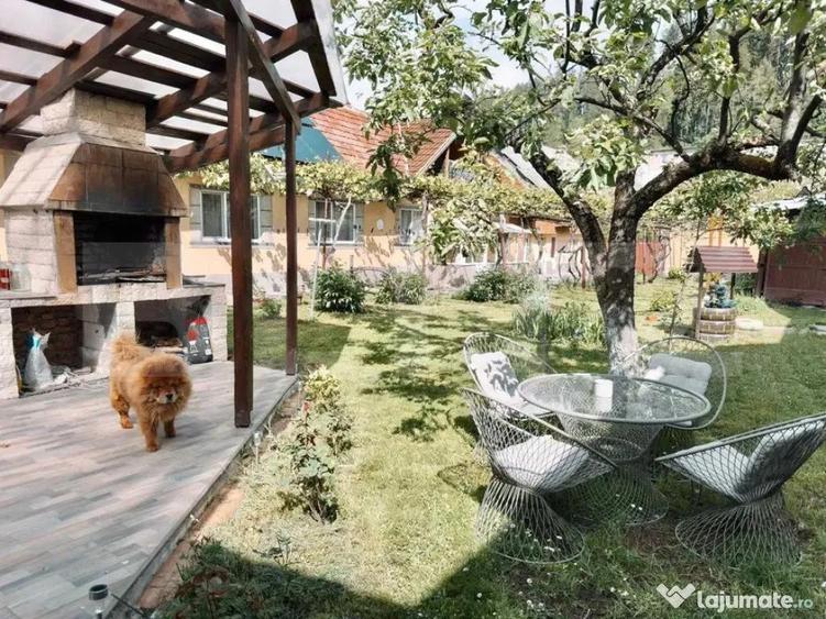 Apartament de 2 camere de inchiriat in Ra?nov - 1