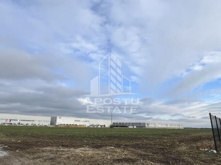 Teren de vanzare 30.400 mp, langa Continental si Hamilton. - 3