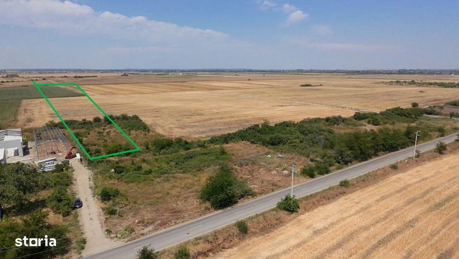 Teren 15000mp Parcelat pt Complex Case Clinceni A0 | Deschidere 50ml - 4