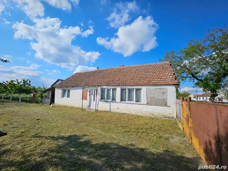 Casa cu teren 1405 mp la Sambateni - 5