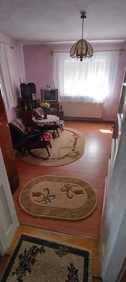 Casa de vanzare Ludu? - 4