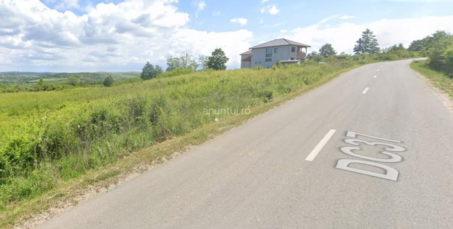 Teren de vanzare in Paleu - Saldabagiu la asfalt, gaze si electricitate Teren de vanzare in Paleu - Saldabagiu la asfalt, gaze si electricitate