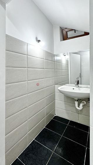 Zona Ultracentrala | Destinatie Comeriala sau Rezidentiala - 21