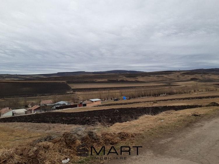 Teren extravilan 61000mp Daia Romana - Alba - 3