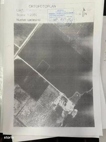 Oportunitate Teren Case Individuale sau Duplexuri Padurea Cernica 300m - 3