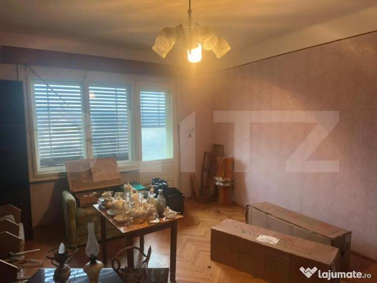 Casa cu teren generos de 6000 mp in Viile Satu Mare zo - 17