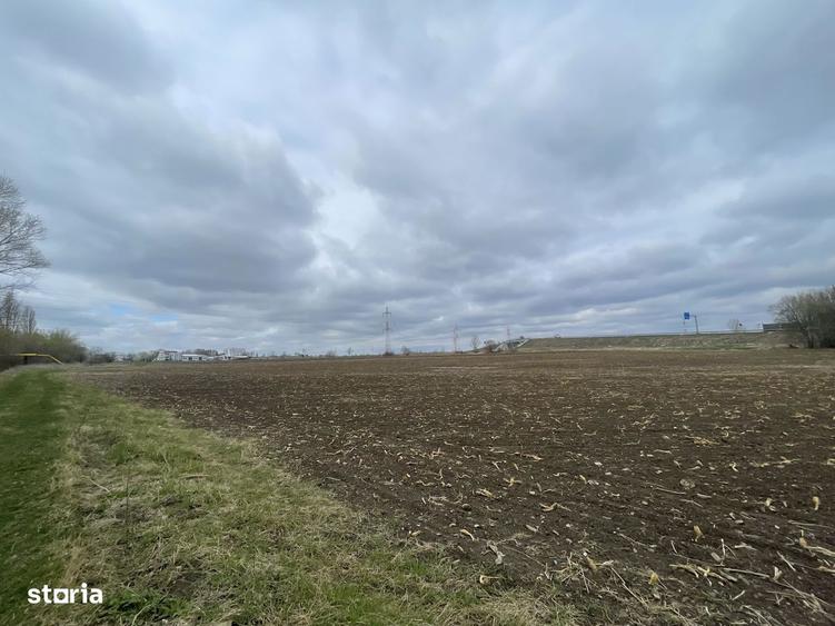 Teren Intravilan | 50 Ari | Zona Periferica Radauti - 3
