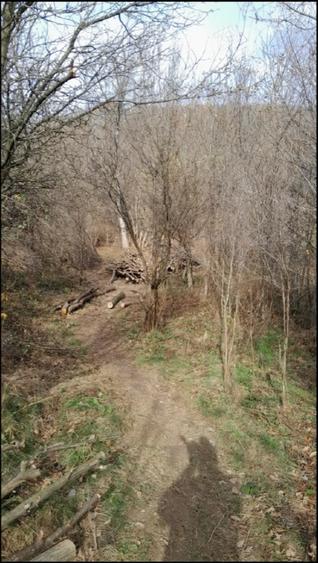 Vand teren intravilan livada - 4