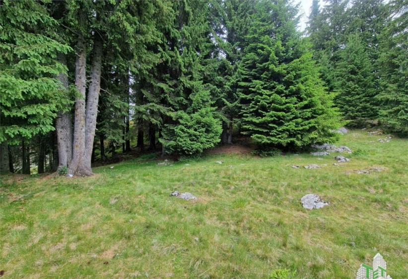 Teren intravilan de in Dambovita / Padina/ Muntii Bucegi - 3