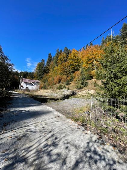 Teren intravilan Predeal - 1