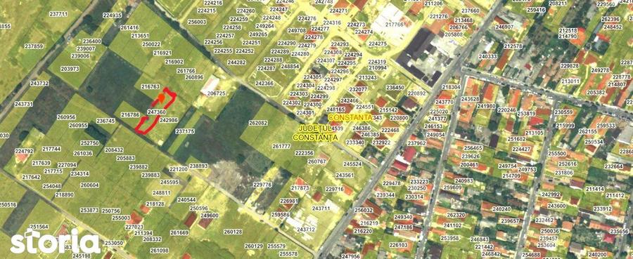 Teren intravilan - Viile Noi/Comarnic- 750 mp, utilitati in apropiere - 5