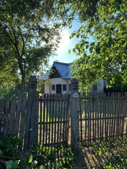 Casă de vânzare în satul Puțuri, comuna Castranova, județul Dolj - 3